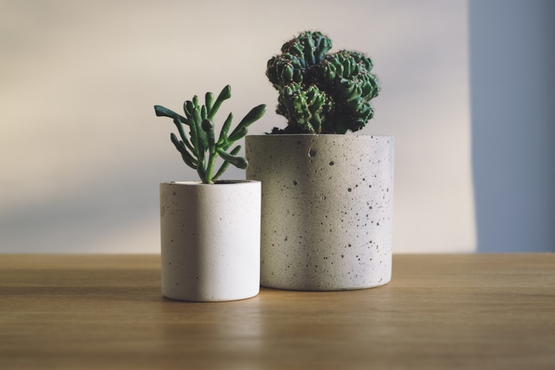Indoor plants and gardening